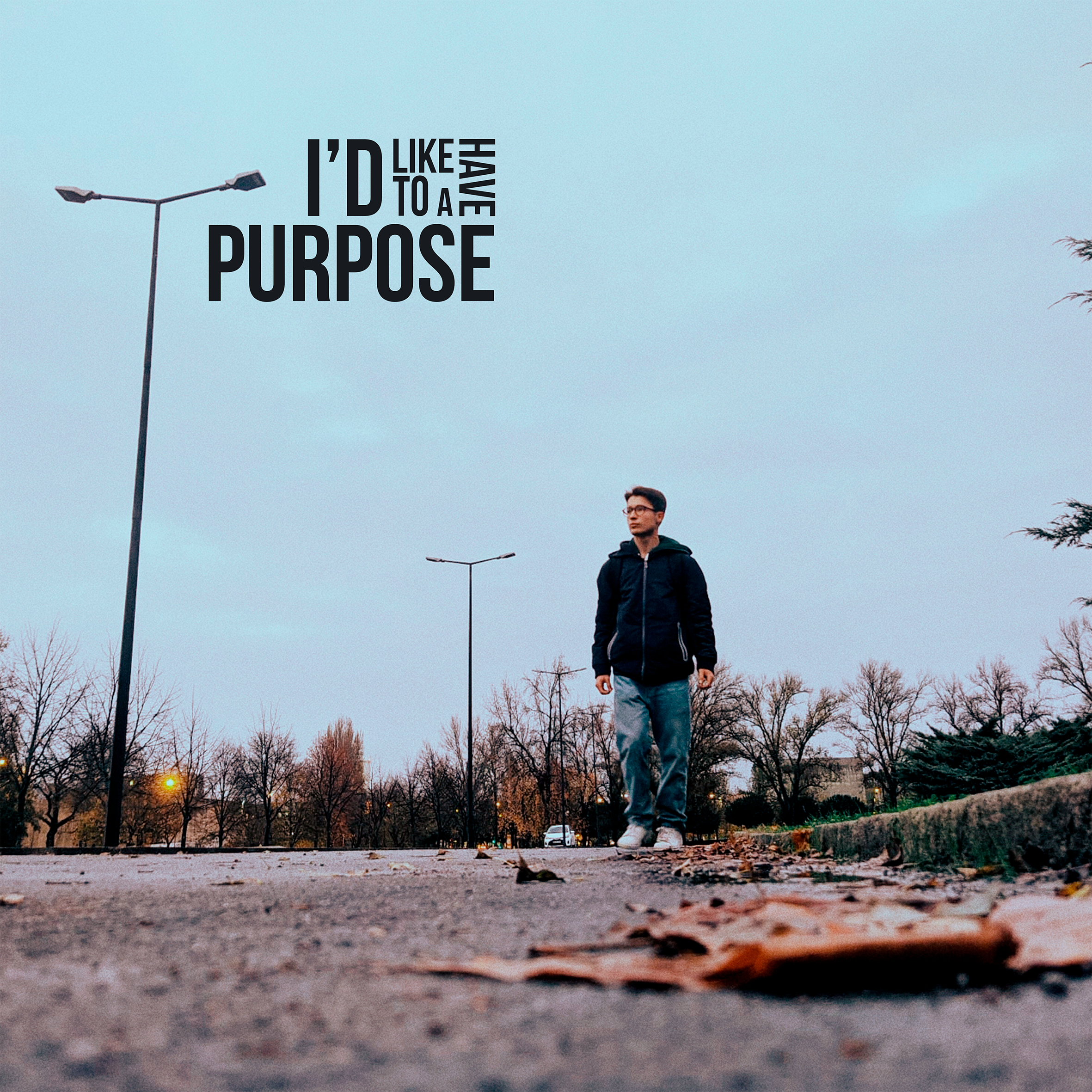 I'd Like to Have a Purpose